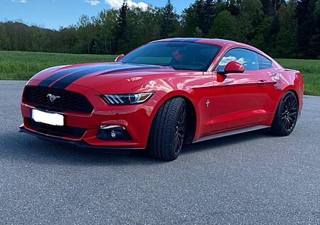 Ford Mustang 2.3 / Schalter / Liebhaberfahrzeug