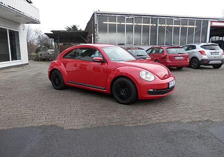 VW Beetle Volkswagen Lim. Basis