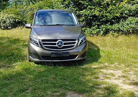 Mercedes-Benz V 250 d Aut. EDITION lang EDITION