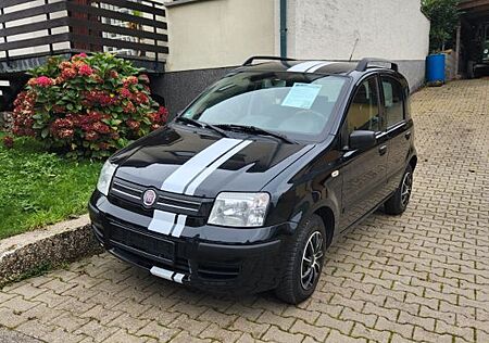 Fiat Panda 1.2 8V | Klima | TÜV neu | 1. HAND