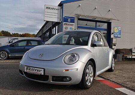 VW New Beetle Volkswagen