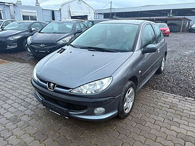 Peugeot 206 Grand Filou Cool Klima