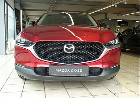 Mazda CX-30 Homura 140 PS *Navi*Kamera*Tageszulassung"