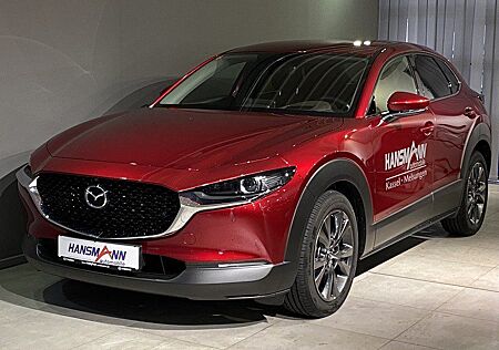 Mazda CX-30 Selection X-186/Design-P./Premium-P./Leder