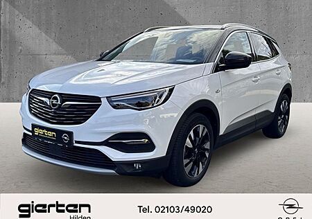 Opel Grandland X Grandland Business INNOVATION AHK-abnehmbar Navi