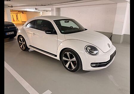 VW Beetle Volkswagen Sport 2.HD Leder 8Fach TÜV Bremsen NEU!