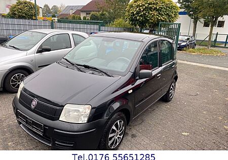 Fiat New Panda 1.1 8V *Gepflegt