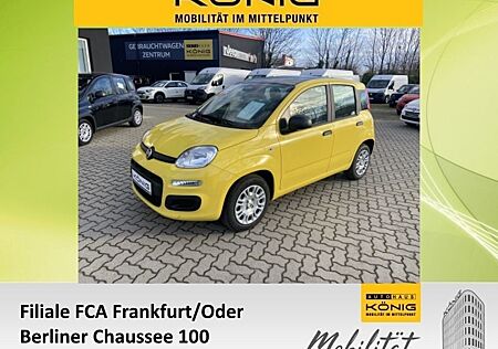 Fiat Panda MY25 1.0 Klima PDC Citypaket