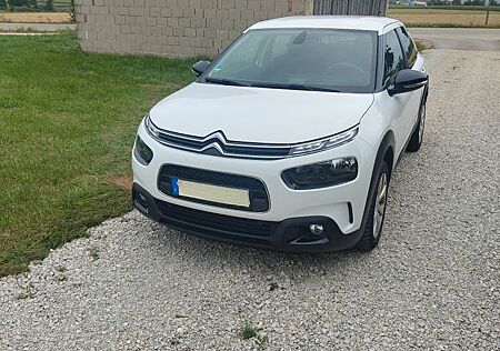 Citroën C4 Cactus 130PS S&S Feel - Zahnriemen NEU