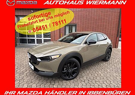 Mazda CX-30 e-SKYACTIV-X 186 PS AT Nagisa