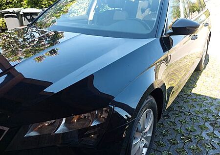Skoda Superb 1.5 TSI ACT Ambition Combi Navi/Pano/AHV
