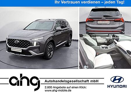 Hyundai Santa Fe Plug-in-Hybrid Head-Up Kamera Totwinkel