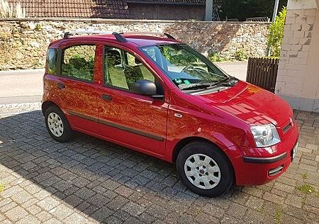 Fiat Panda rot 1.2 8-fach bereift