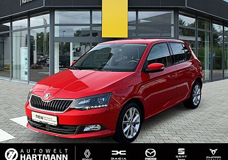 Skoda Fabia 1,0 TSi Clever Climatronic, Licht+Sicht