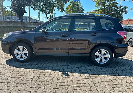 Subaru Forester Platinum / Leder / Panoramadach