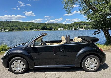 VW Beetle Volkswagen