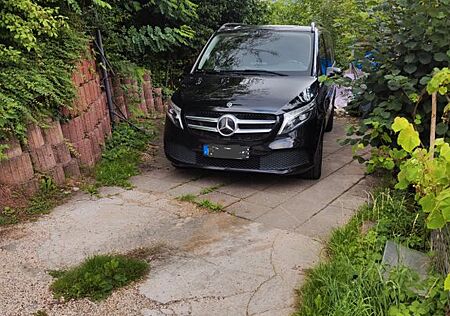 Mercedes-Benz V 300 gebraucht kaufen Mercedes-Benz V 300 d Aut. lang -