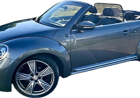 VW New Beetle Volkswagen