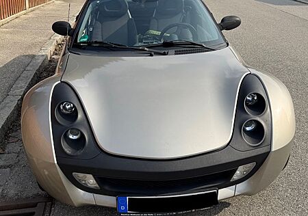 Smart Roadster Tüv 12/27, VIELES NEU, Bilstein, Eibach, Powerfl