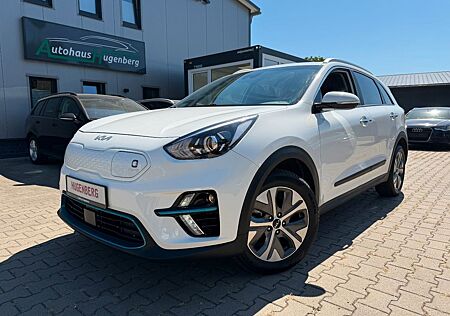 Kia e-Niro Navi Shz Allwetterreifen Kamera etc.