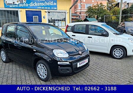 Fiat Panda 1.0 Hybrid-CITY-PACK+eFH-Radio DAB-PDC
