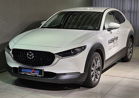 Mazda CX-30 Exclusive-line DASO DESI X-186 6AT FWD