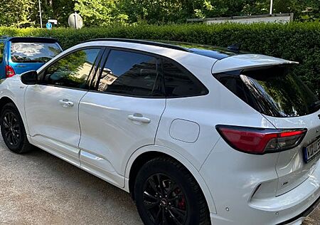 Ford Kuga 2.0 EcoBlue Auto ST-Line X ST-Line X