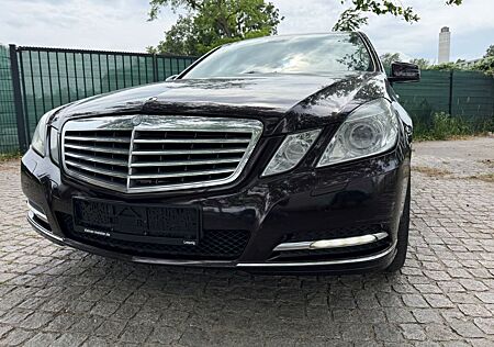 Mercedes-Benz E 220 CDI BlueEFFICIENCY ELEGANCE ELEGANCE