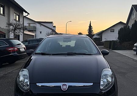 Fiat Punto EVO Active