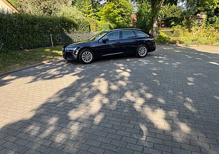 Audi A6 50 TDI quattro tiptronic Avant -