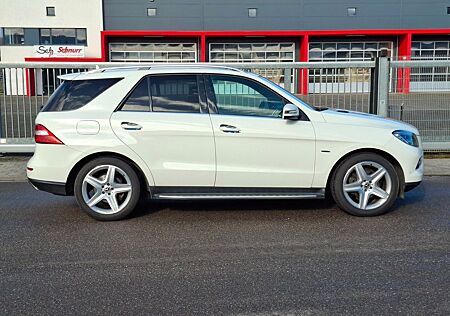 Mercedes-Benz ML 350 CDI BlueTec sehr gepf.2.Hd Vollaustattung
