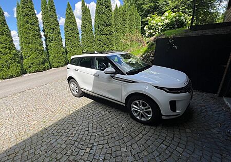 Land Rover Range Rover Evoque P300e SE AWD Automatik SE