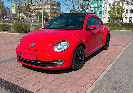 VW Käfer Volkswagen