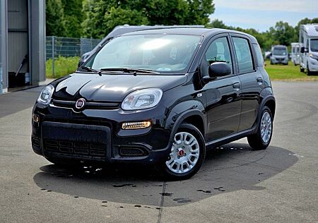 Fiat Panda Hybrid 1.0 GSE 51kw MY24 sofort Verfügbar!