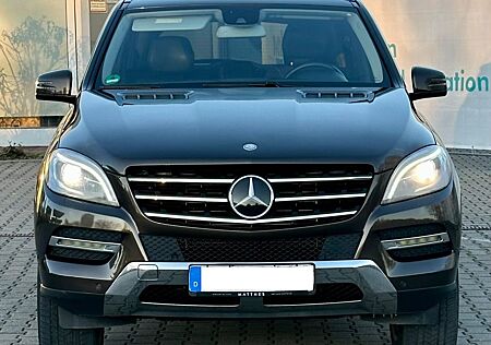 Mercedes-Benz ML 350 BlueTEC 4MATIC Edition 1 Luft ACC Harman