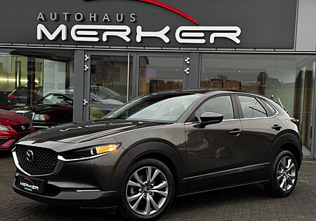 Mazda CX-3 CX-30 Selection HUD/AHK/360°-KAM/CARPLAY/LHZ