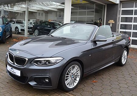BMW 230i M Sport*Alcantara*1 Hand*LED*Navi*Top*