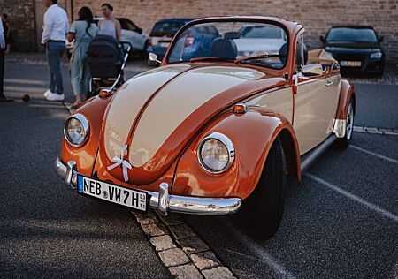 VW Käfer Volkswagen