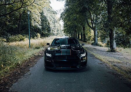 Ford Mustang 5.0 V8 Gt500 Body Kit. Sp. Abgas A.