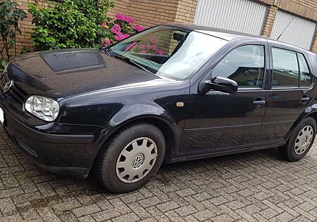 VW Golf Volkswagen IV 1.4 Fahranfängerfahrzeug Tüv NEU