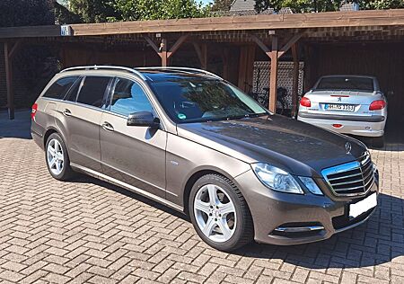 Mercedes-Benz E 220 CDI T AVANTGARDE Aut. TÜV NEU VOLLE HÜTTE*