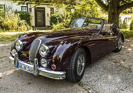 Jaguar XK 140 DHC