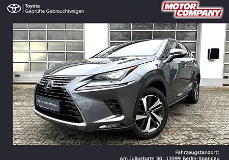 Lexus NX 300 Hybrid Automatik Luxury Line