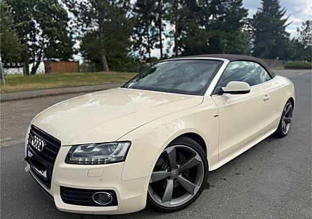 Audi A5 3.0 TDI S tronic quattro Cabriolet