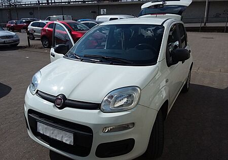 Fiat Panda 2018 HU Neu Preis VB