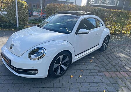 VW Beetle gebraucht kaufen VW Beetle Volkswagen Lim. Cup~1.Hand