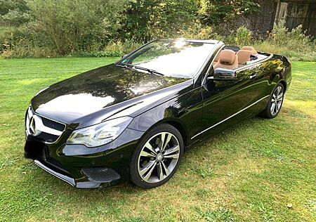 Mercedes-Benz E 220 gebraucht kaufen Mercedes-Benz E 220 d Sport Edition Autom. Sport Edition