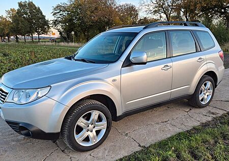 Subaru Forester gebraucht kaufen Subaru Forester 2.0X Comfort Automatik
