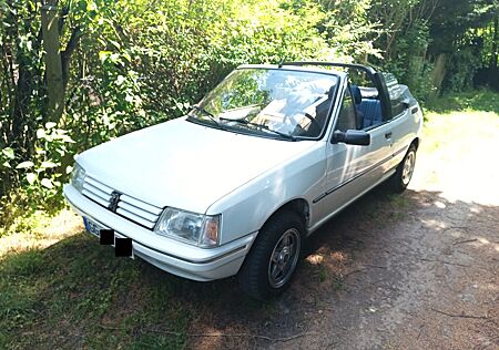 Peugeot 205 PininFarina Edition (Jeans Optik) H