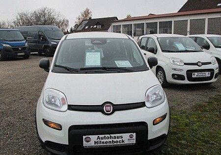 Fiat Panda Pandina Cross